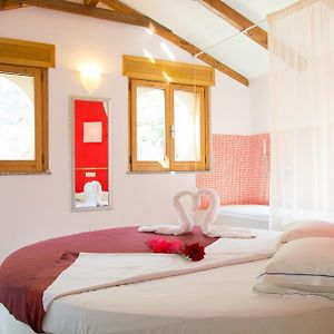Minihotel Iris